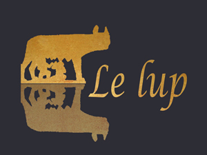 Logo lup